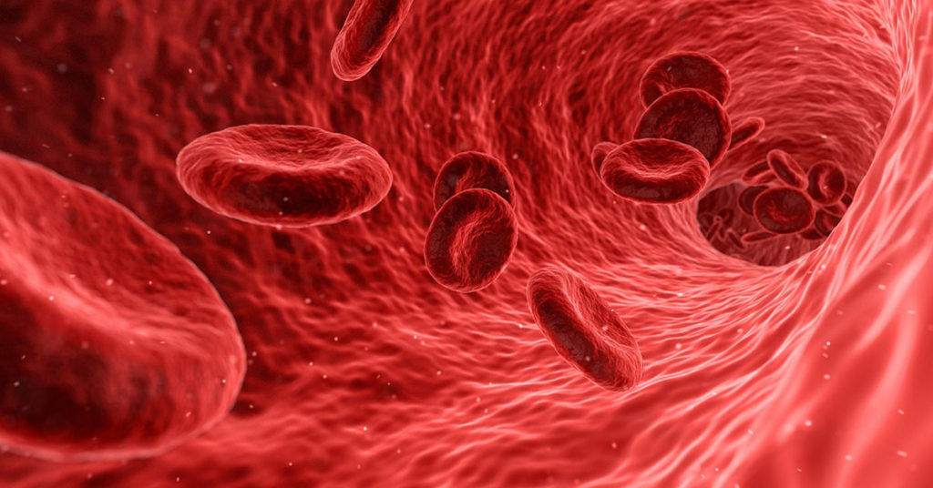 blood stem cells in miami 1024x536