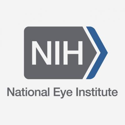 NIH logo |National Eye Institute | stemcellmia