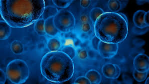 Stem Cell images blue | stemcellmia