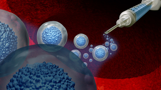 Stem Cell Beauty