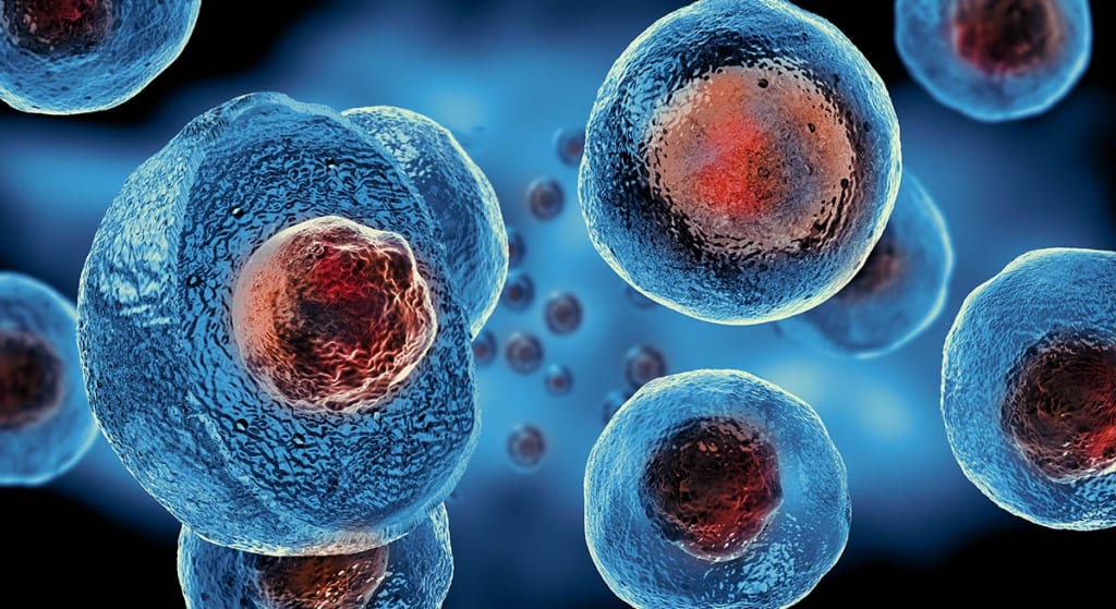 Stem Cell blue