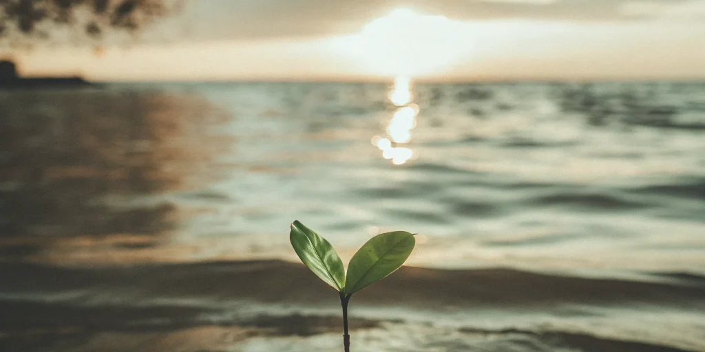 Best peptides for weight loss support healthy growth.