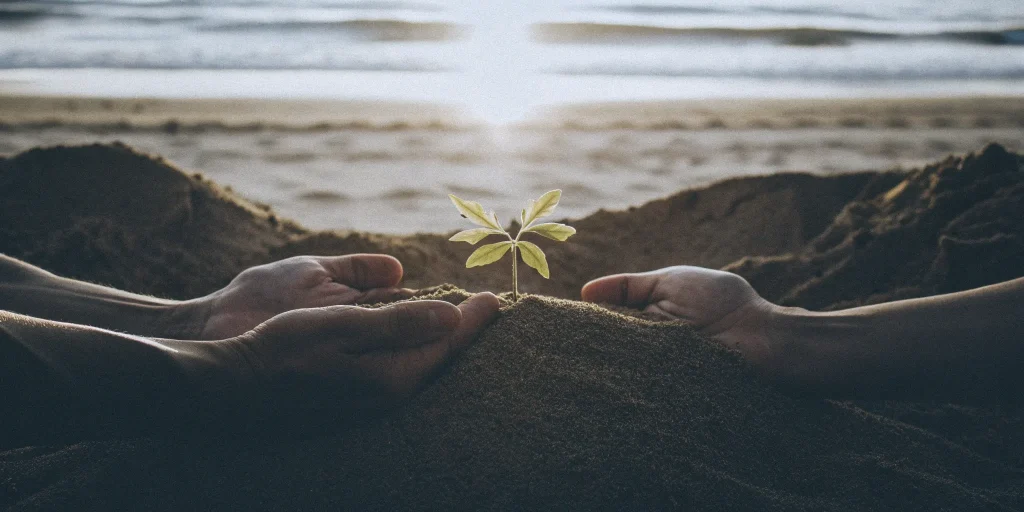 Nurturing a new plant sprout, a symbol of hope for autism stem cell therapy in Miami.