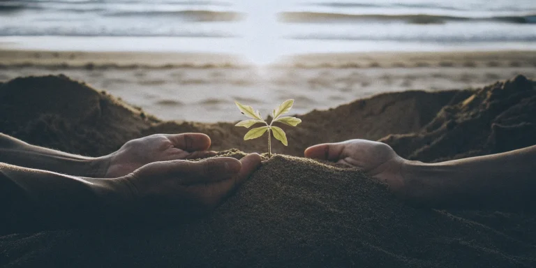 Nurturing a new plant sprout, a symbol of hope for autism stem cell therapy in Miami.