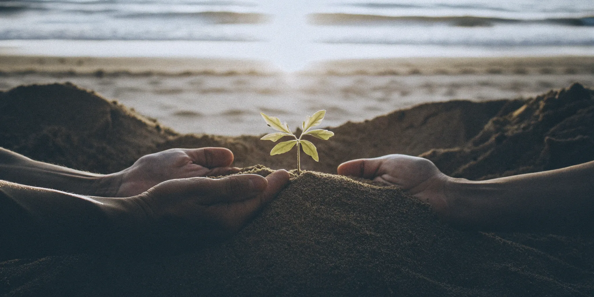 Nurturing a new plant sprout, a symbol of hope for autism stem cell therapy in Miami.