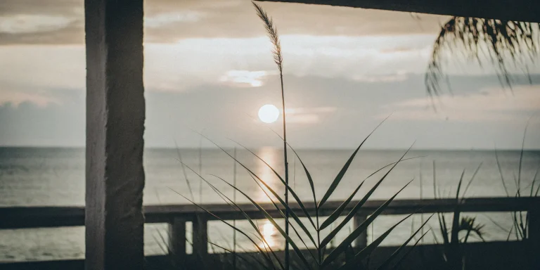 A Miami ocean view symbolizing the wellness achieved with the best stem cell therapy.