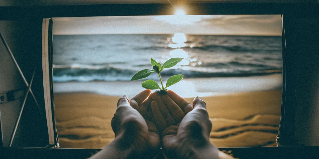 Hands holding a plant, showing the healing potential of regenerative stem cells in Miami.