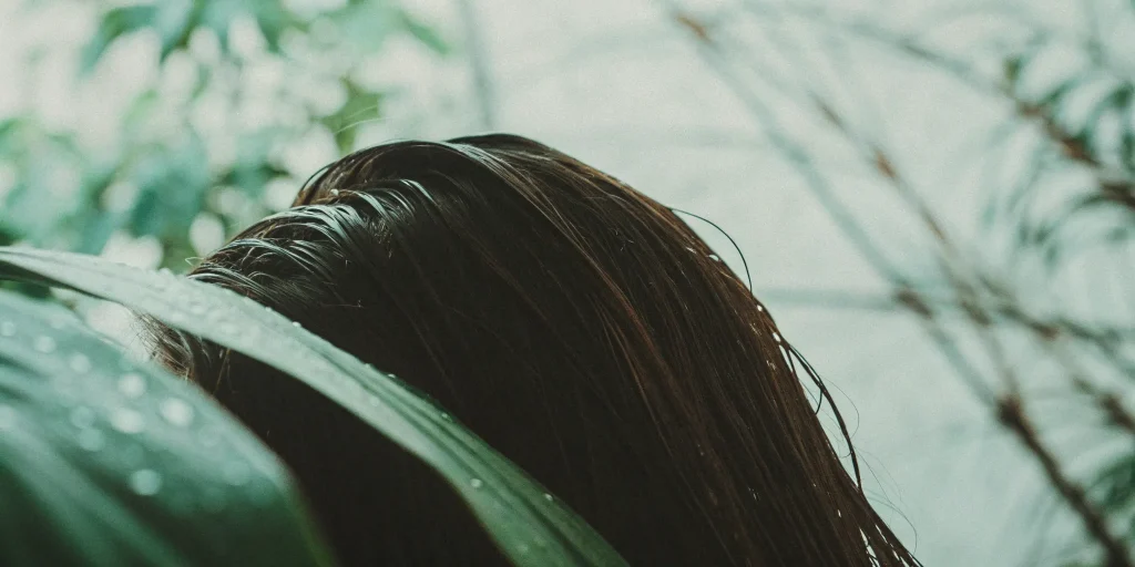 A close-up of a wet scalp, exploring the side effects of exosome therapy for hair loss.
